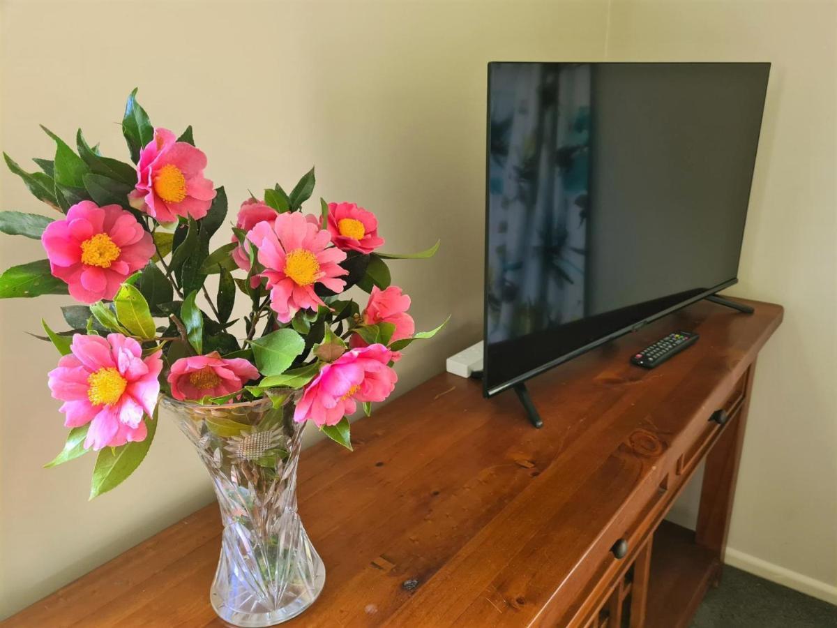 Pyes Pa Studio Apartment Tauranga Bagian luar foto